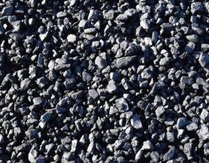 Ledvicei dió barna szén